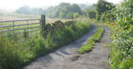 Dawn sunshine on Sandy Lane Accrington, and another early start to an epic day out on the Moors.