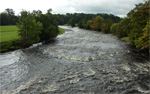 River Ribble at Mitton